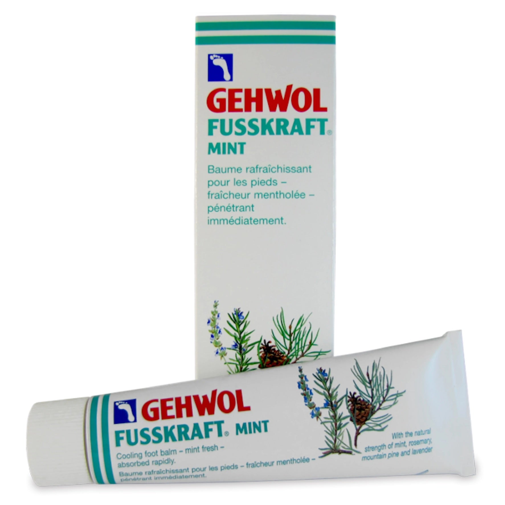 Fusskraft menthe